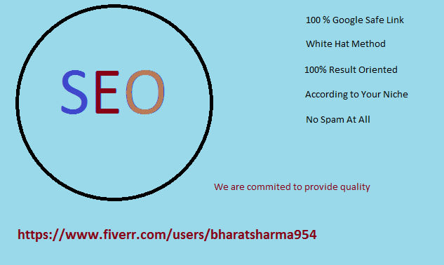 provide result oriented white SEO service