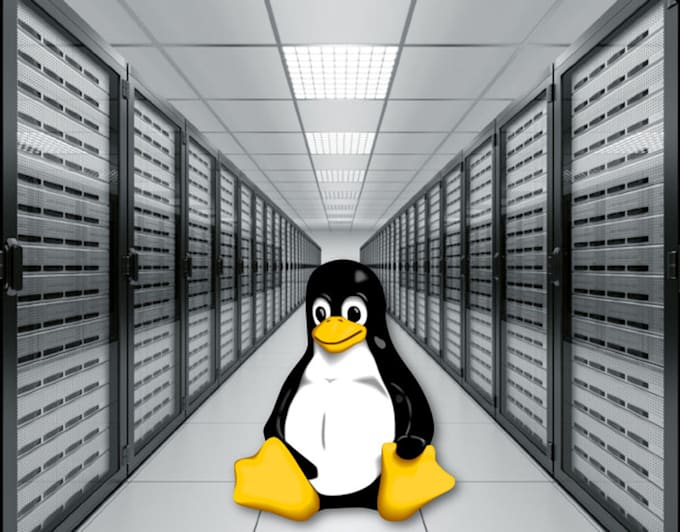solve linux centos ubuntu servers related problem