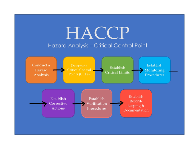 Haccp Plan Template Printable