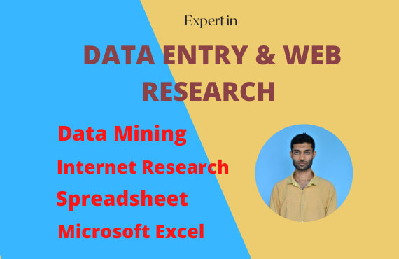 do flawlessly data entry job and web research, data mining