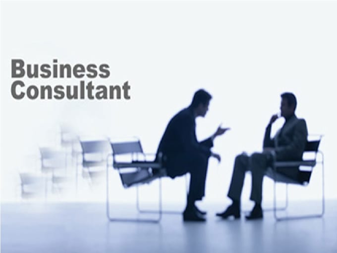 provide you with business consulting services