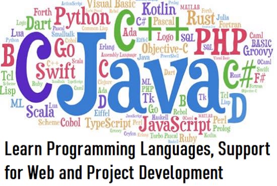 Help web development and learn programming languages by Vidyavittal279