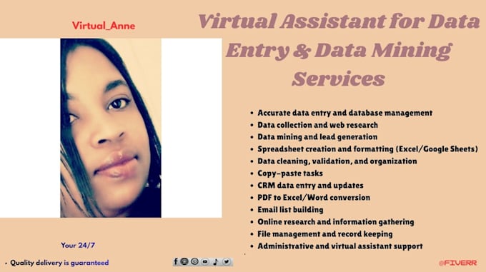 be your virtual assistant for data entry and data mining
