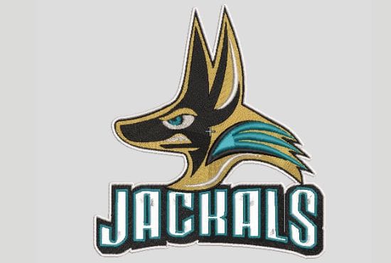 do 3d puff embroidery digitizing in 1 hours dst file