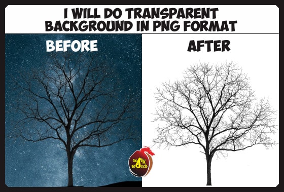 Do Transparent Background In Png Format By Reskyresock Fiverr Do Transparent Background In Png Format By Reskyresock Fiverr