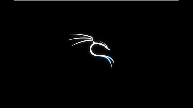 conduct a thorough penetration test of your web application