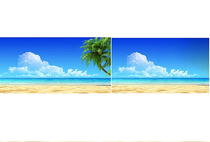 Add Or Remove Object And Remove Background By Genru38