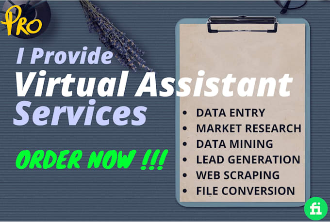 be your virtual assistant for data entry
