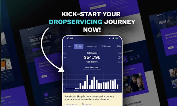 design a profitable drop servicing website or dropservicing store