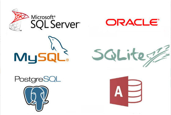 Do sql queries, er diagram and database design by Kalpa752 | Fiverr