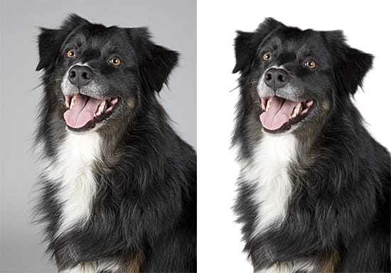 photoshop remove background remove image