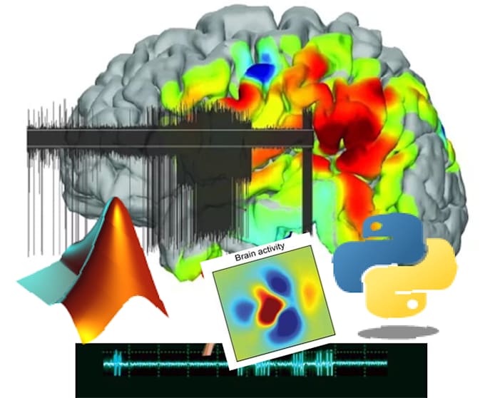 Do signal processing related tasks on matlab and python by ...
