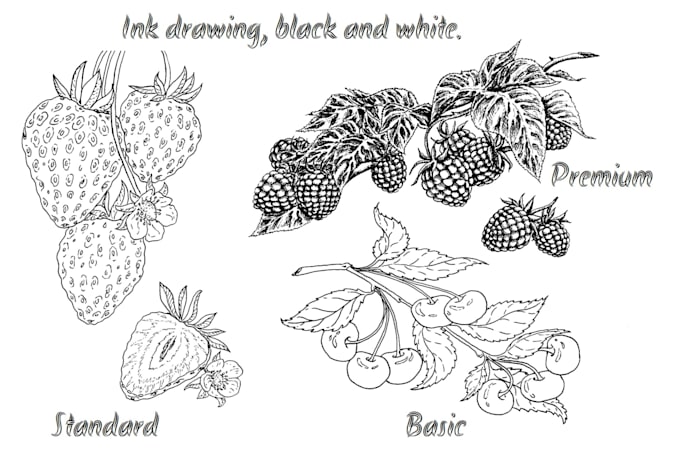 draw botany by hand in any style