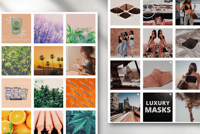 create content and manage your instagram
