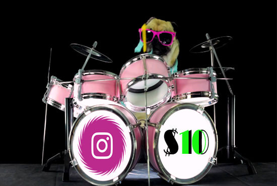 do this funny dj dog playing drum video ad