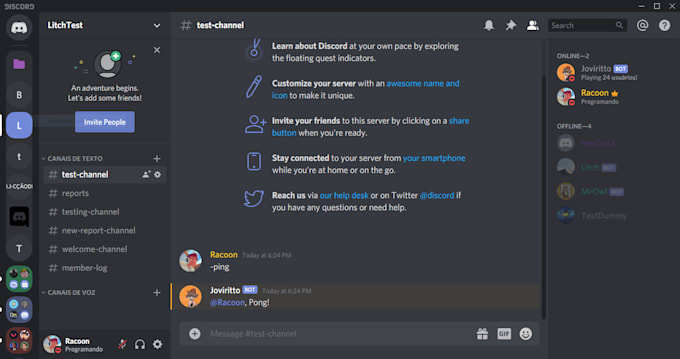 make a customized discord bot for you
