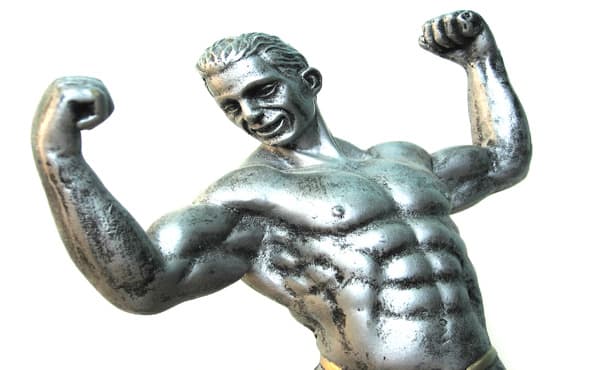 Send you a super fitness and health plr/mrr niche bundle ...