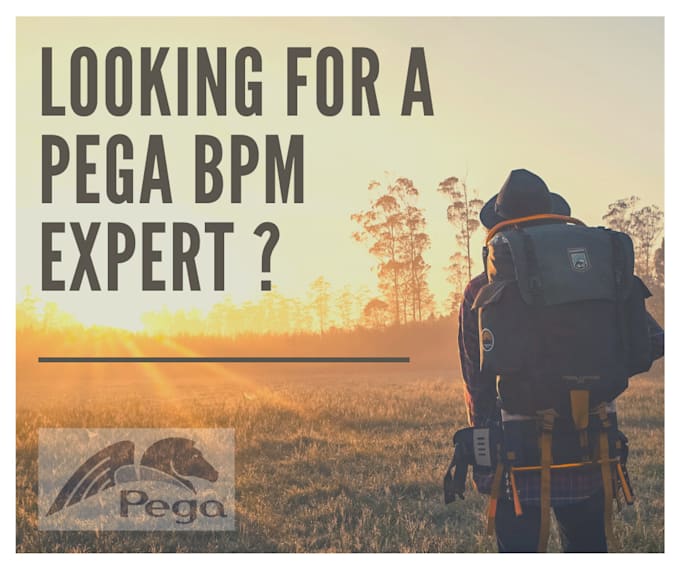 Develop pega prpc bpm applications by Fingerprintlk | Fiverr
