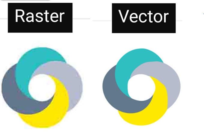 convert image to vector professionally