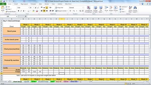 Send you complete diet workout plan by Robertostepic 