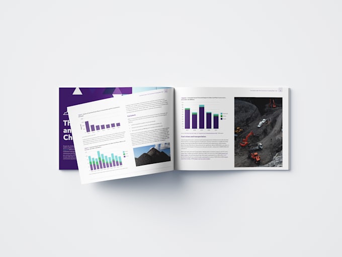 design professional booklet, proposal, or annual report