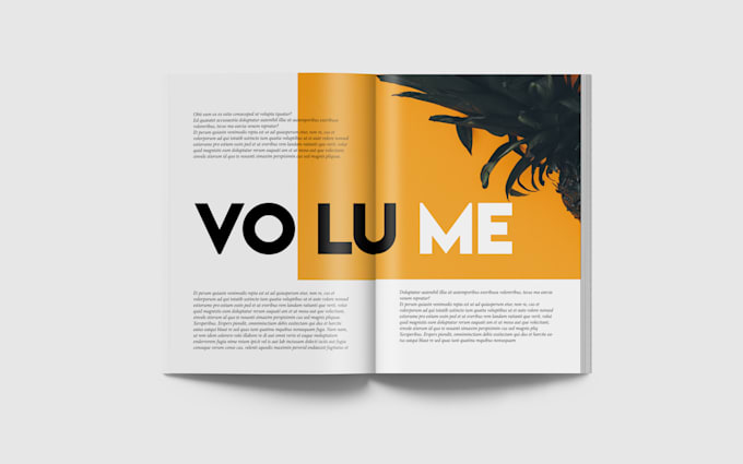 design a professional magazine layout design