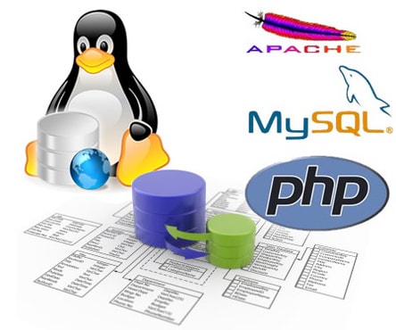 rectify Any php errors in your file and can add php/mysql code of your need