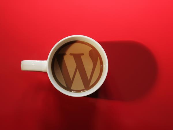 install and set up your wordpress theme with demo content