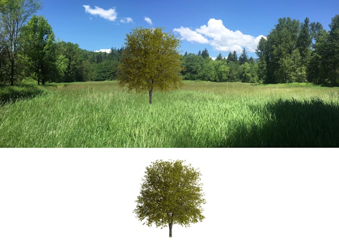 Professionally Make Image Background White Or Transparent By Myprologos Professionally Make Image Background White Or Transparent By Myprologos