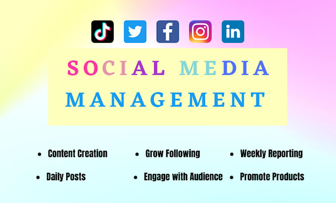 be your social media manager and content creator