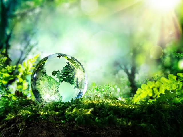 do articles in biology and environmental science