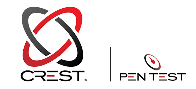 pentest your system and generate professional report with standards
