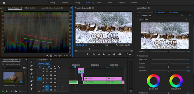edit your video professionally