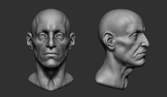 create a 3d model or sculpture