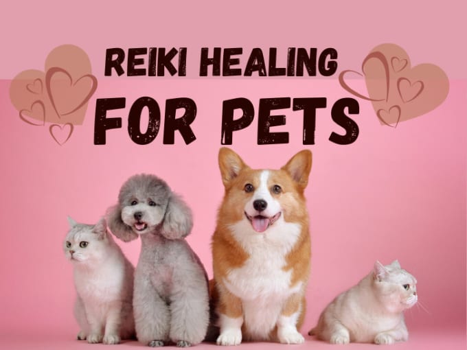 send strong effective reiki healing for your pet companion