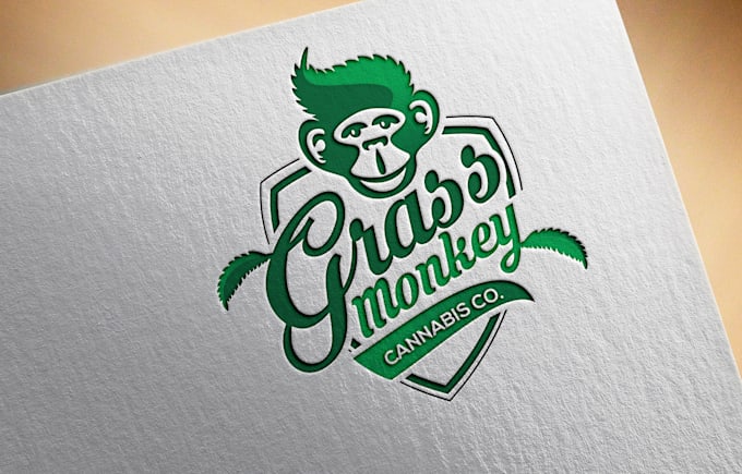 provide logo design service in express 24hr