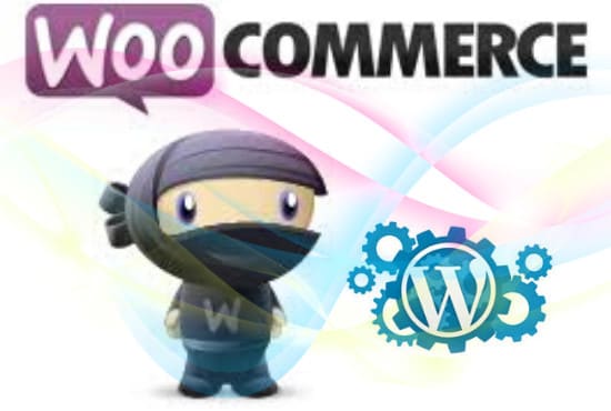 develop an online store and update using woocommerce plugin