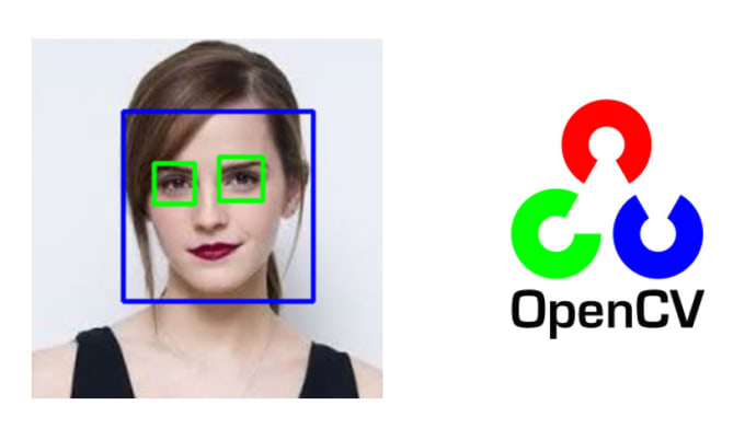 Do image processing using opencv by Zoyaaamir_09 | Fiverr