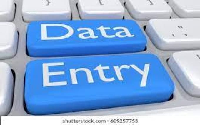 do high quality data entry and admin work for you