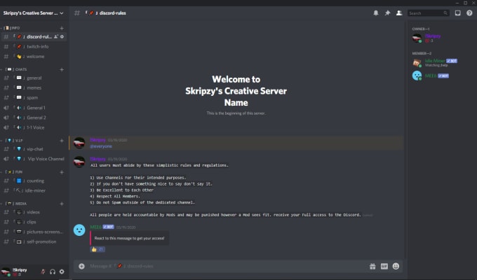 Create a simple, and unique discord server by Skripzy | Fiverr