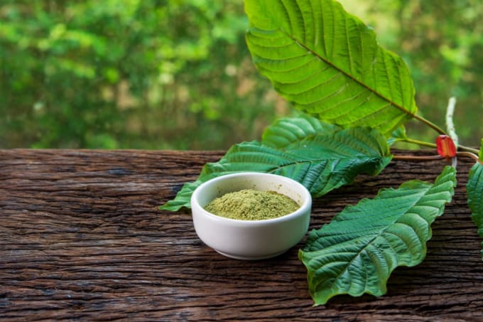 Hassanfarooqi12: I will publish cbd, kratom and vitamins articles on my health sites for $10 on fiverr.com