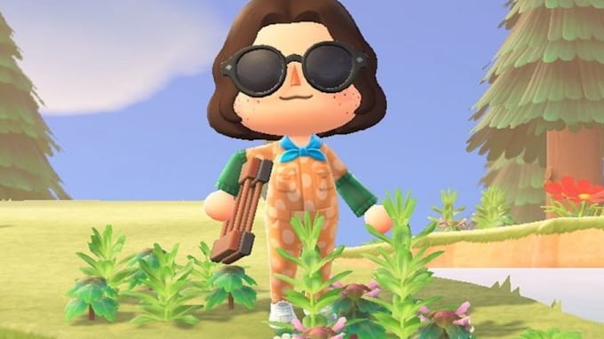 pull your weeds in animal crossing new horizons