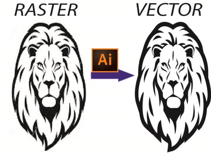 convert raster to vector illustrator cs2