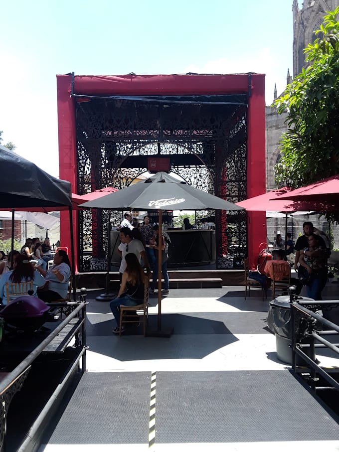 do errands for you in guadalajara,mexico