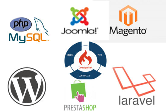 build or fix errors in your PHP based cms or mvc website