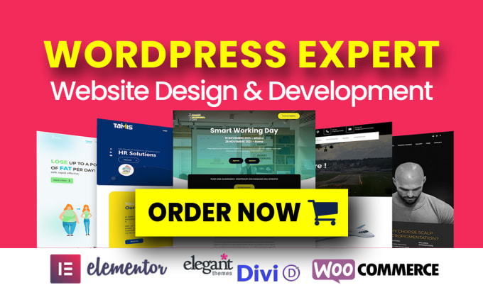 Best Deals! I will design, redesign, clone, build wordpress website, business website, landing page