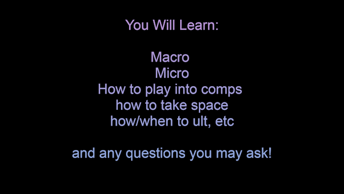 be your t500 champion coach in overwatch 2