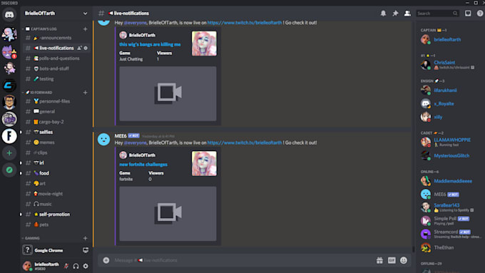 Set Up Your Discord By Brielleoftarth Fiverr