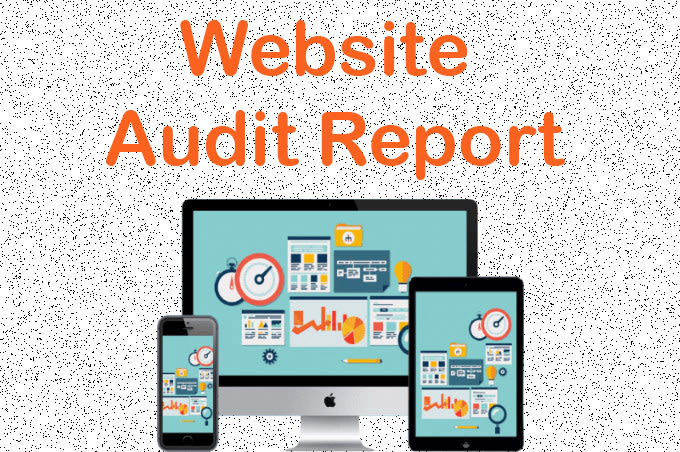 audit your website with full pdf report