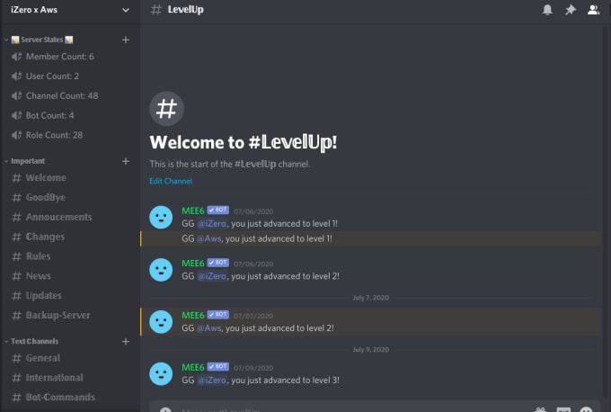 Make your discord setup, within 24 hours custom server by X1seven